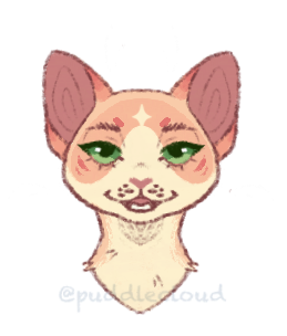 Symmetrical Headshot ($5) Symmetrical Headshot ($5)